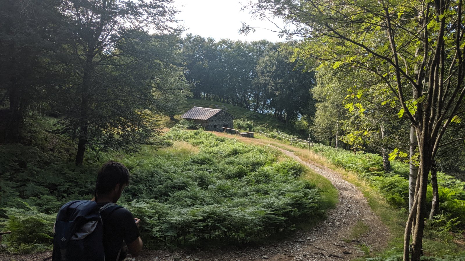 Forest trail with a stone hut